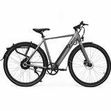 AsVIVA BC1-B Urban 2022 28 Zoll RH 54 cm grau