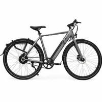 AsVIVA BC1-B Urban 2022 28 Zoll RH 54 cm grau