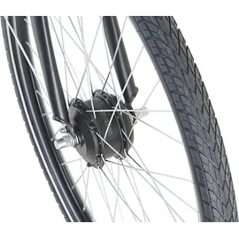 Prophete Geniesser 1.0 28 Zoll RH 49 cm Schwarz