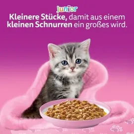 Whiskas Junior Geflügel Auswahl in Gelee 40 x 85 g