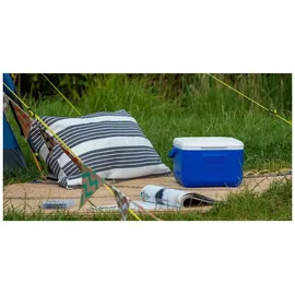 Coleman 5QT Performance Cooler