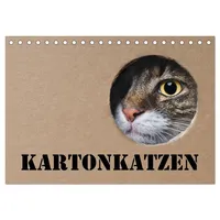 Calvendo Karton Katzen (Tischkalender 2026 DIN A5 quer), CALVENDO