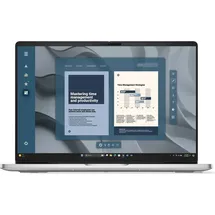 Dell Pro 16 16" Ryzen 5 220 16 GB RAM 512 GB SSD Radeon 740M Win11 Pro Platinum Silver