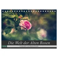 Calvendo Die Welt der Alten Rosen (Tischkalender 2026 DIN