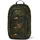 Satch Air jurassic jungle 2024