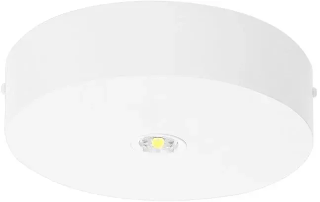 Fischer LED-Sicherheitsleuchte BRDE15I.V2