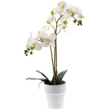 Easyplants Künstliche Orchidee Phalaenopsis weiß 65 cm