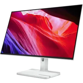 Lenovo L27h-4A 27" grau