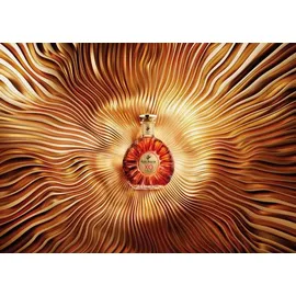 Remy Martin 40 % vol 0,7 l Geschenkbox