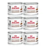 Royal Canin Hepatic Nassfutter