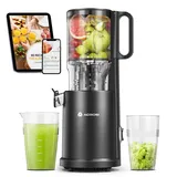 AAOBOSI Slow Juicer schwarz