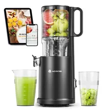 AAOBOSI Slow Juicer schwarz