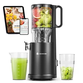 AAOBOSI Slow Juicer schwarz