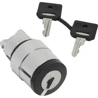 Schneider Electric ZB4BG420 ZB4BG420 Frontelement Schlüsselsch.