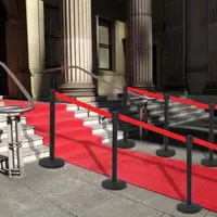 VidaXL Personenleitsystem Stahl Schwarz