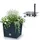 Prosperplast Blumentopf 26,6 26,2 x 26,2 x 26,6 cm Anthrazit