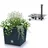 Prosperplast Blumentopf 26,6 26,2 x 26,2 x 26,6 cm Anthrazit