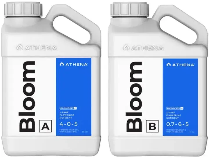 Athena Bloom A + B 18.92 l