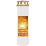 HS CANDLE Grabkerze Grablicht mit Motiv Allee - ca 170h / 7 Tage Brenndauer je Kerze 26cm, Ø 7cm) / viele verschiedene Designs