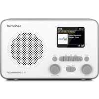 TechniSat TechniRadio 6 IR Tragbar Analog & Digital Grau, Weiß
