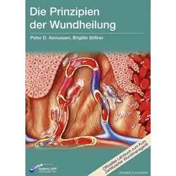 Die Prinzipien der Wundheilung