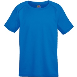 Fruit of the Loom PERFORMANCE T - Herren Polyester T-Shirt mit sportlichen Raglanärmel, royal, M