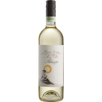 Daniele Pelassa Roero Arneis „San Vito“ DOCG