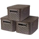 Curver Aufbewahrungsbox Style S 29 x 20 x 14 cm 3-tlg. Dunkelbraun