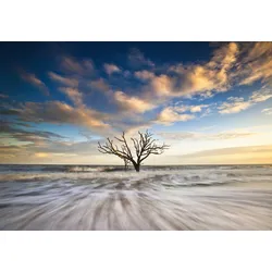 Fototapete PAPERMOON "Baum in Landschaft", bunt, B:3,50m L:2,60m, Vlies, Tapeten