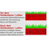 SCHEPPACH Benzin-Vertikutierer SC55P 40 cm Arbeitsbreite