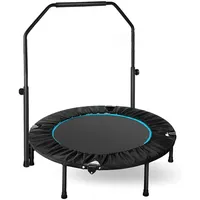 TLGREEN LIFERUN Indoor-Trampolin Ø101cm,Faltbares Fitness-Trampolin,Trampolin für Jumping Fitness,Tragfähigkeit 150 kg,Verstellbare Handlaufhöhe,Ausdauertraining,Verschiedene Personengruppen,Schwarz