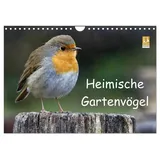 Calvendo Heimische Gartenvögel Wandkalender 2026