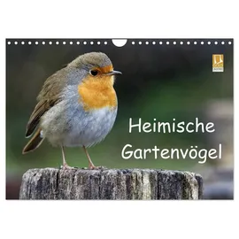 Calvendo Heimische Gartenvögel Wandkalender 2026