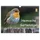 Calvendo Heimische Gartenvögel Wandkalender 2026