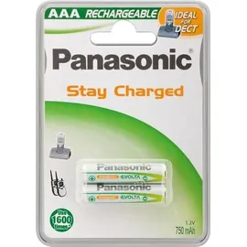 Panasonic Ready to Use Dect Micro 2 St.