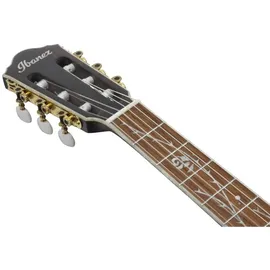 IBANEZ TOD10NL-TKF Linkshänder Westerngitarre