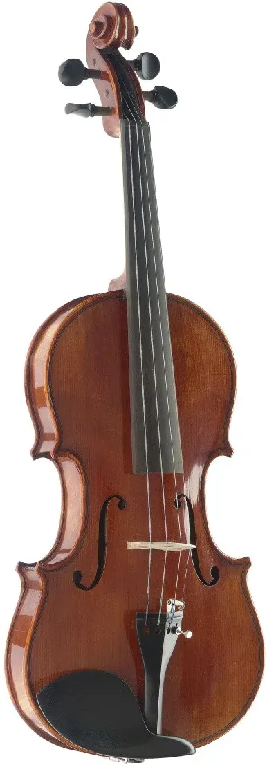 Stagg VN-4/4 HG 4/4 vollmassive Violine mit angeflammten Boden im Deluxe Rechteckkoffer