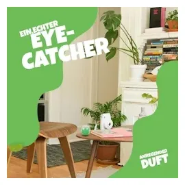 HS Candle Duftkerzen Selection 12 St. bunt