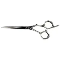 e-kwip e-kwip+ ASE ASEROCKSTAR Haarschere 55