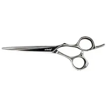 e-kwip e-kwip+ ASE ASEROCKSTAR Haarschere 55