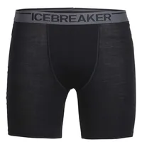 Icebreaker Merino 150 Anatomica Boxershorts - Black - M