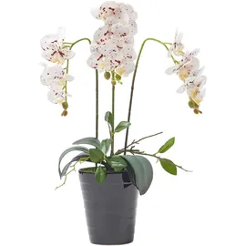 Homescapes KUNSTBLUME Orchidee weiß-pink im Deko-Topf, 56 cm