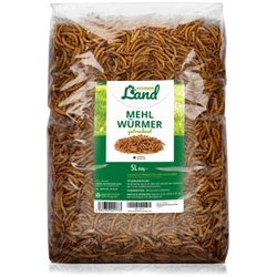 HÜHNER Land Edel Mehlwürmer 800g