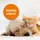ARDAP Flohspray zur Anwendung am Tier 250 ml