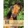 Cadmos Headshaking: Erkennen und behandeln (Cadmos Handbuch)