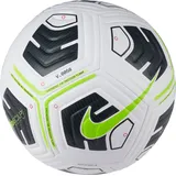 Nike Academy Team 
