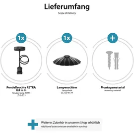 ledscom.de RETRA 1-flg. 245 mm schwarz Stahl