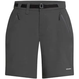 Icebreaker Merino Elevation Stretch Shorts Grau 34
