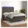 vidaXL Boxspringbett mit Matratze & LED Dunkelgrau 140x200 cm Samt