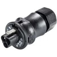 Wieland Electric 96.032.0153.1 Rundstecker Stecker, gerade Gesamtpolzahl: 3 1